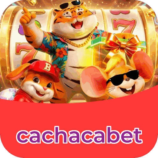 Pagamentos e segurança no app
